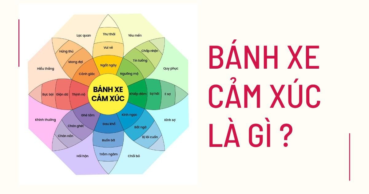 Bánh Xe Cảm Xúc của Robert Plutchik: Công Cụ Mạnh Mẽ Để Hiểu Và Điều Chỉnh Cảm Xúc