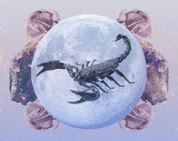 Khám Phá Cung Bọ Cạp (Scorpio): Bí Ẩn, Mạnh Mẽ Và Quyến Rũ